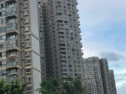 禹洲华侨金海岸