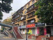 杏林东路21号小区