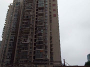 新景数码港