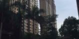 蓝湾国际