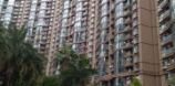 国贸春天